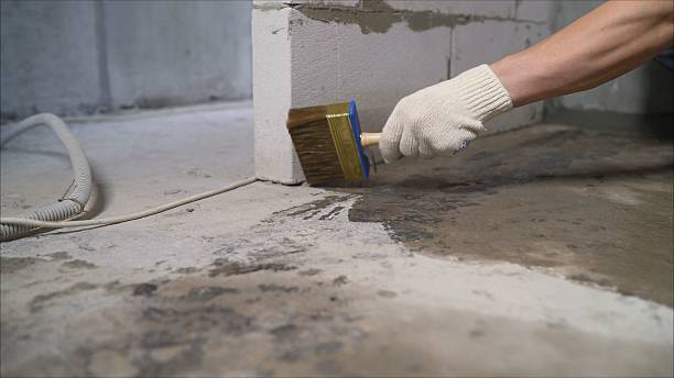 24/7 Emergency Wet Basement Repair experts in Lawrenceville, IL